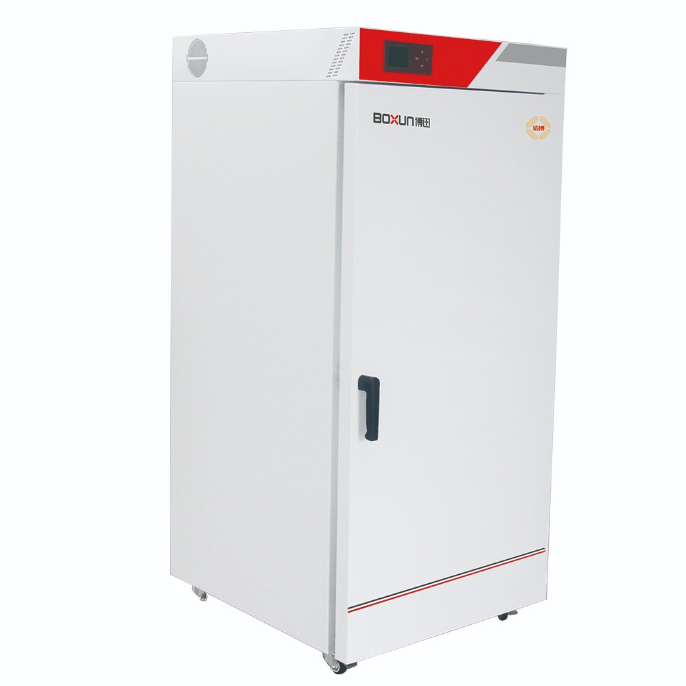 上海博迅電熱鼓風干燥箱BGZ-456