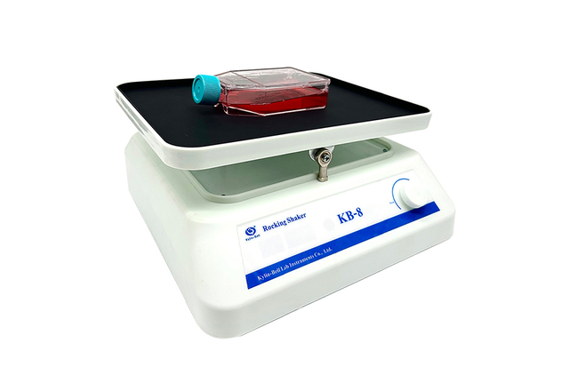 海門其林貝爾轉(zhuǎn)移脫色搖床KB-8