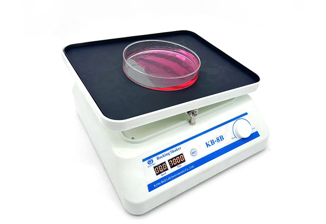 海門其林貝爾轉(zhuǎn)移脫色搖床KB-8B