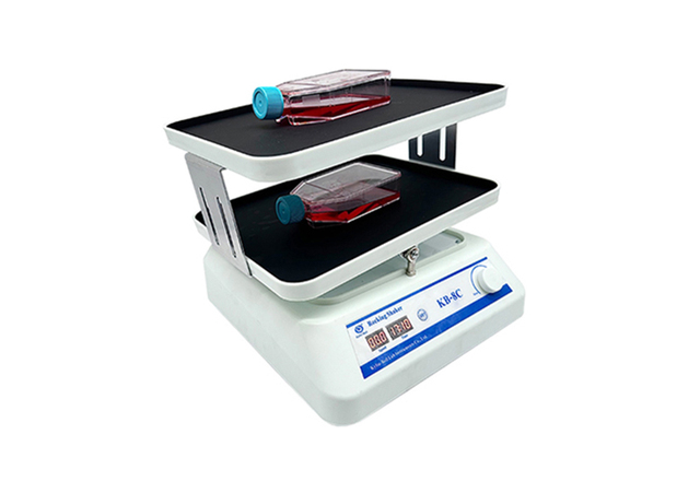 海門其林貝爾轉(zhuǎn)移脫色搖床KB-8C